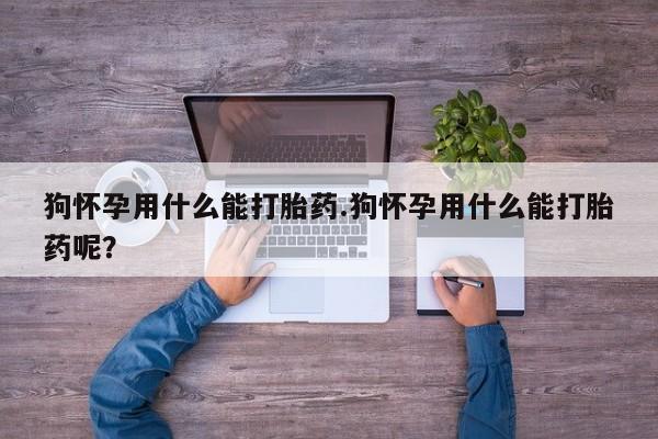 哪里有堕胎药微信狗怀孕用什么能打胎药.狗怀孕用什么能打胎药呢？