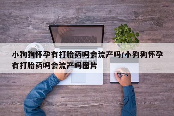 哪里有堕胎药微信资讯 第17页