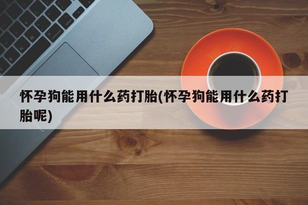 哪里有堕胎药微信怀孕狗能用什么药打胎(怀孕狗能用什么药打胎呢)